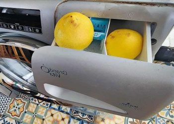 Comment nettoyer le tiroir à lessive du lave-linge avec du citron ?