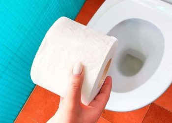 Jetez-vous les rouleaux de papier toilette et les serviettes hygiéniques dans les toilettes ? C’est une grande erreur