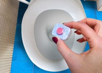 La salle de bain reste propre grâce à un truc simple