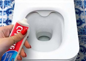 L'astuce de génie pour nettoyer les toilettes en profondeur