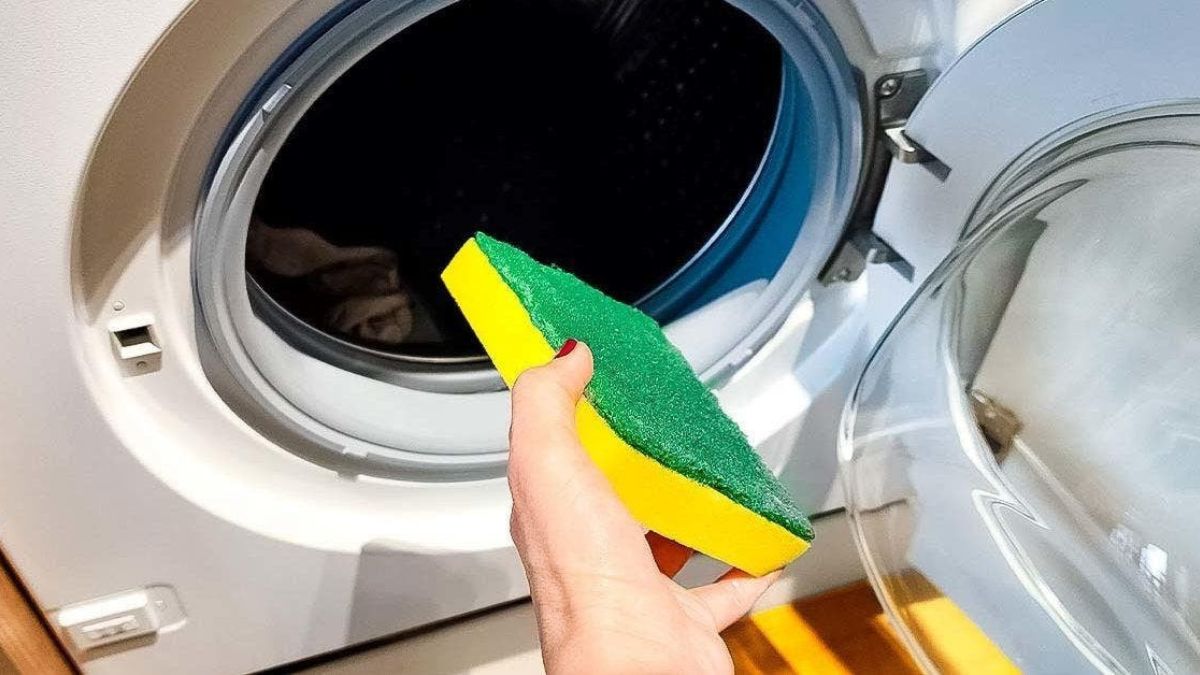 L’astuce de l’éponge : une méthode méconnue pour conserver la machine à laver comme neuve