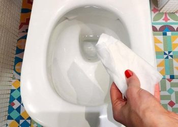 Mettez du Papier Toilette Imbibé de Vinaigre Blanc Dans les WC (L'Effet est Magique)