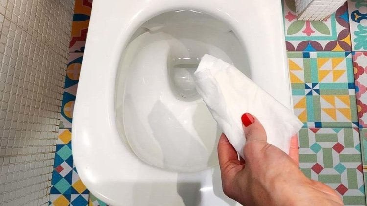 Mettez du Papier Toilette Imbibé de Vinaigre Blanc Dans les WC (L'Effet est Magique)