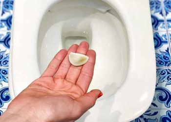 Mettez une gousse d'ail dans les toilettes avant de vous coucher, vous ne le regretterez pas