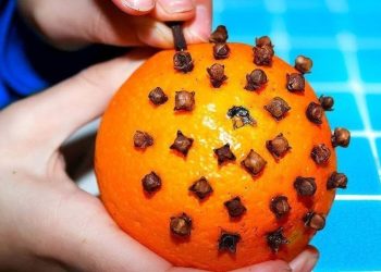 Mettre des clous de girofle dans une orange : Cela résout un problème courant dans la maison