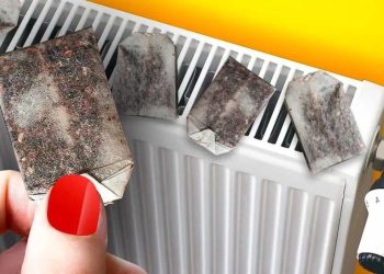 Pourquoi Je Mets des Sachets de Thé Sur le Radiateur ? L’Astuce Pour Faire des Économies