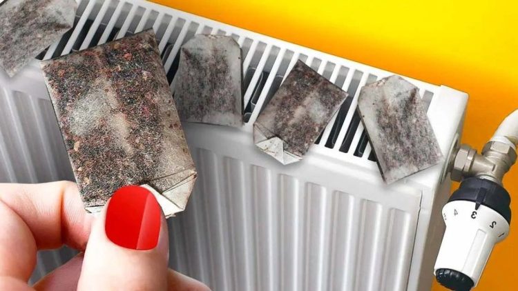 Pourquoi Je Mets des Sachets de Thé Sur le Radiateur ? L’Astuce Pour Faire des Économies