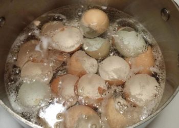 Pourquoi vous devriez faire bouillir les coquilles d'œufs au lieu de les mettre dans la poubelle