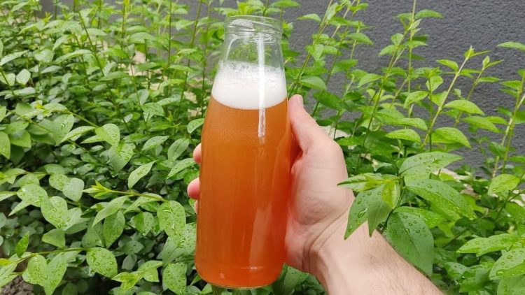 Une tasse par mois de ce liquide et vous aurez des plantes luxuriantes toute l'année