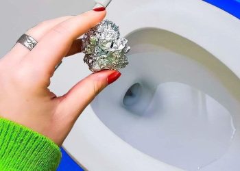 Utilisez du papier aluminium au toilettes : l’astuce méconnue pour des toilettes propres sans tartre