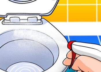 Vaporisez les toilettes avec ce mélange et attendez 10 minutes. Les toilettes vont briller de propreté