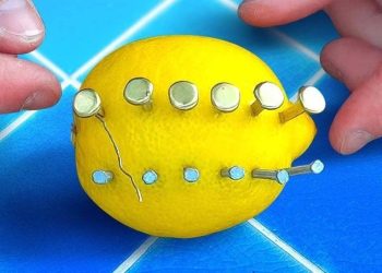 Voici ce qui se passe si vous enfoncez des clous dans un citron