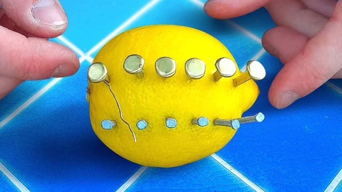 Voici ce qui se passe si vous enfoncez des clous dans un citron : L’astuce préférée de mon jardinier pour protéger les plantes