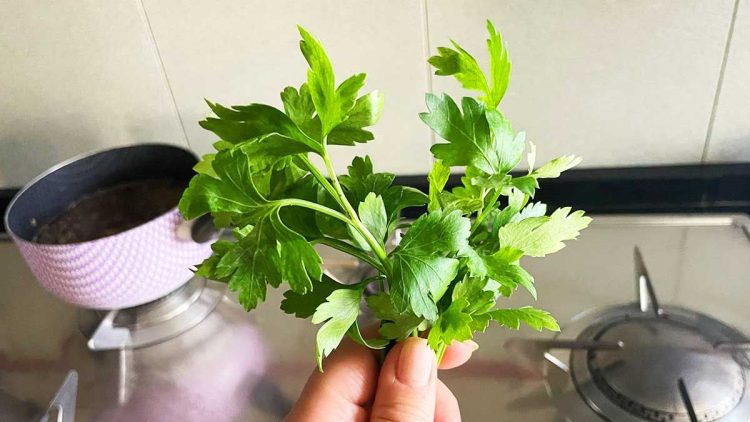 Vous obtiendrez ainsi une réserve infinie de persil à tartiner du marchand de légumes !