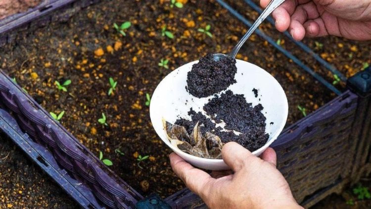 15 astuces à base de marc de café : pour la maison, et la beauté