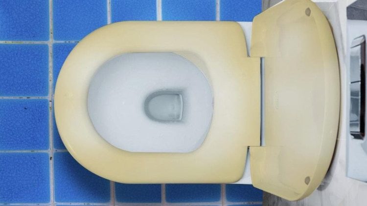 5 conseils de grand-mère pour nettoyer efficacement un siège de toilettes jauni