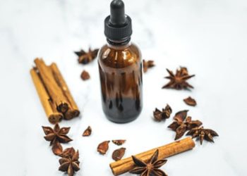 5 remèdes naturels anti-moustiques vraiment efficaces