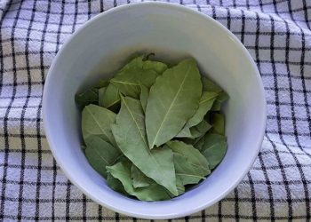 7 choses à faire si vous avez des feuilles de laurier à la maison