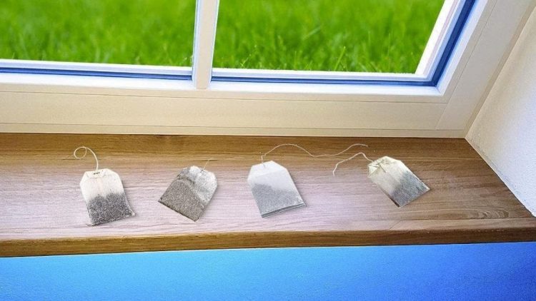 Comment éloigner les insectes de la maison avec l’astuce du sachet de thé ?