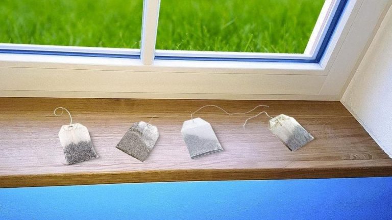 Comment éloigner Les Insectes De La Maison Avec L’astuce Du Sachet De ...