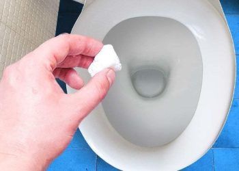 Comment fabriquer des pastilles pour nettoyer les toilettes