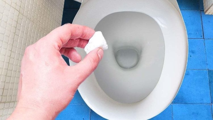 Comment fabriquer des pastilles pour nettoyer les toilettes