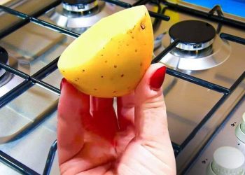 Comment se débarrasser des mauvaises odeurs de cuisine ? Conseils et astuces