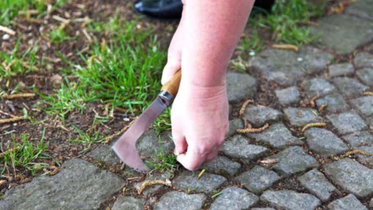 Enlever les mauvaises herbes des joints