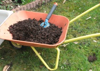 La fosse à compost - un coup de génie pour le jardin ?