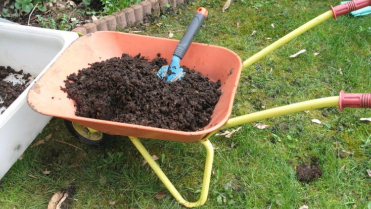 La fosse à compost - un coup de génie pour le jardin ?