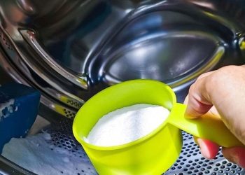 L'acide citrique : un nettoyant multi-usages
