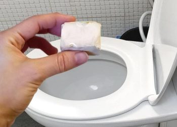 Mettez la levure de bière dans les toilettes. Jamais aussi propre
