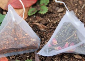 10 façons de réutiliser des sachets de thé dans le jardin