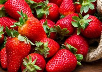 5 conseils pour avoir de belles fraises dans son jardin