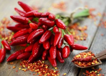 Bienfaits du piment: Vertus pour maigrir, bruleur de graisse