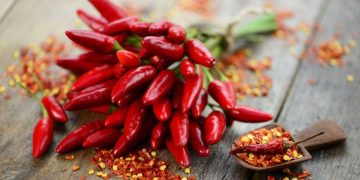 Bienfaits du piment: Vertus pour maigrir, bruleur de graisse