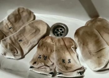 Comment blanchir les chaussettes ? 7 conseils géniaux pour un nettoyage impeccable