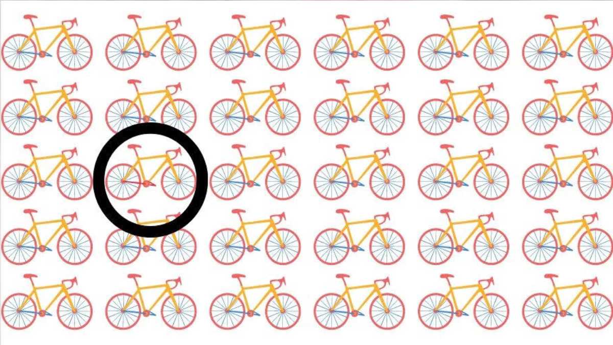 Image à chercher : Quel vélo sort du lot ?