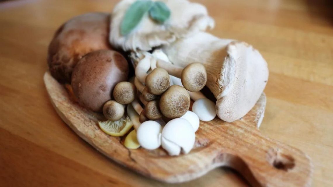 Congeler Et Décongeler Des Champignons Frais - Comment Conserver