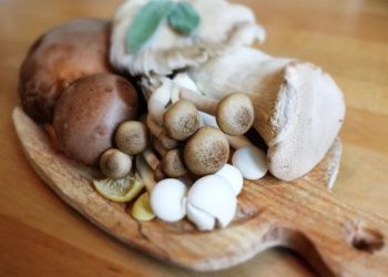 Congeler et décongeler des champignons frais