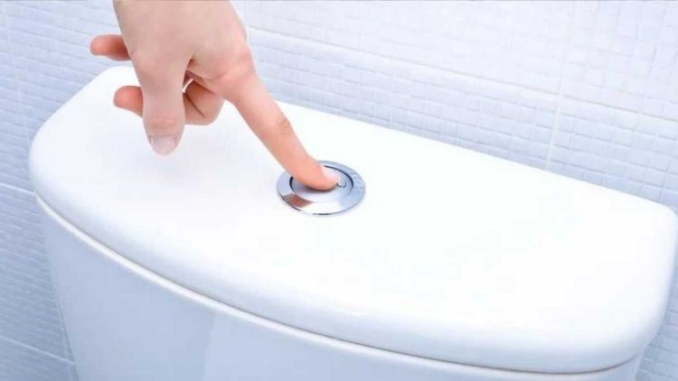 Dentifrice dans la Cuvette des Toilettes, Pourquoi, Que va-t-il se Passer Ensuite ?