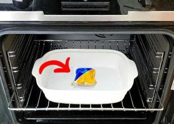 L'astuce pour nettoyer le four "sans effort". Même la graisse brûlée disparaît