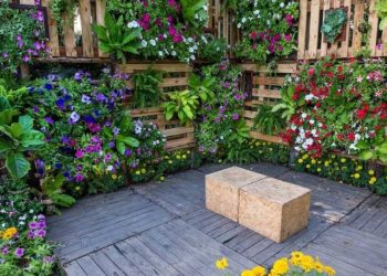 Les secrets pour réussir son jardin vertical en 4 étapes