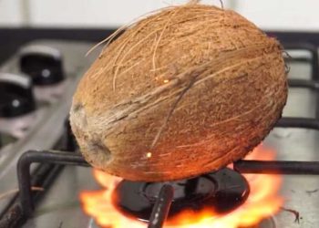 Mettre une noix de coco au four, que se passe-t-il si vous essayez : l'astuce des chefs