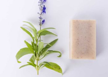 Le savon : Transformez vos plantes avec ce secret inattendu