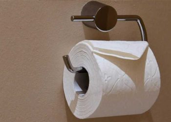 La femme de chambre met en garde : évitez le papier toilette plié