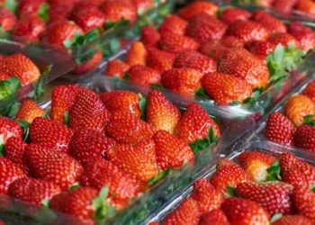 Pourquoi acheter des fraises en mars n'est pas une bonne idée