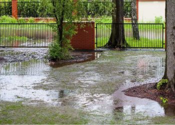 Comment peux-tu protéger ton jardin des fortes pluies en cas d'intempéries ?