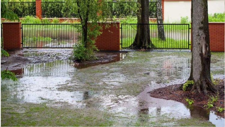 Comment peux-tu protéger ton jardin des fortes pluies en cas d'intempéries ?