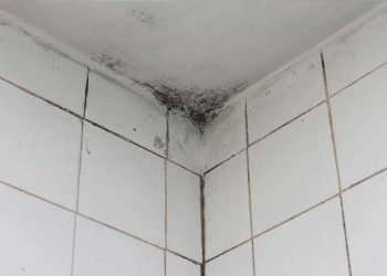 Moisissure au plafond dans la salle de bain : ce que vous devez faire maintenant